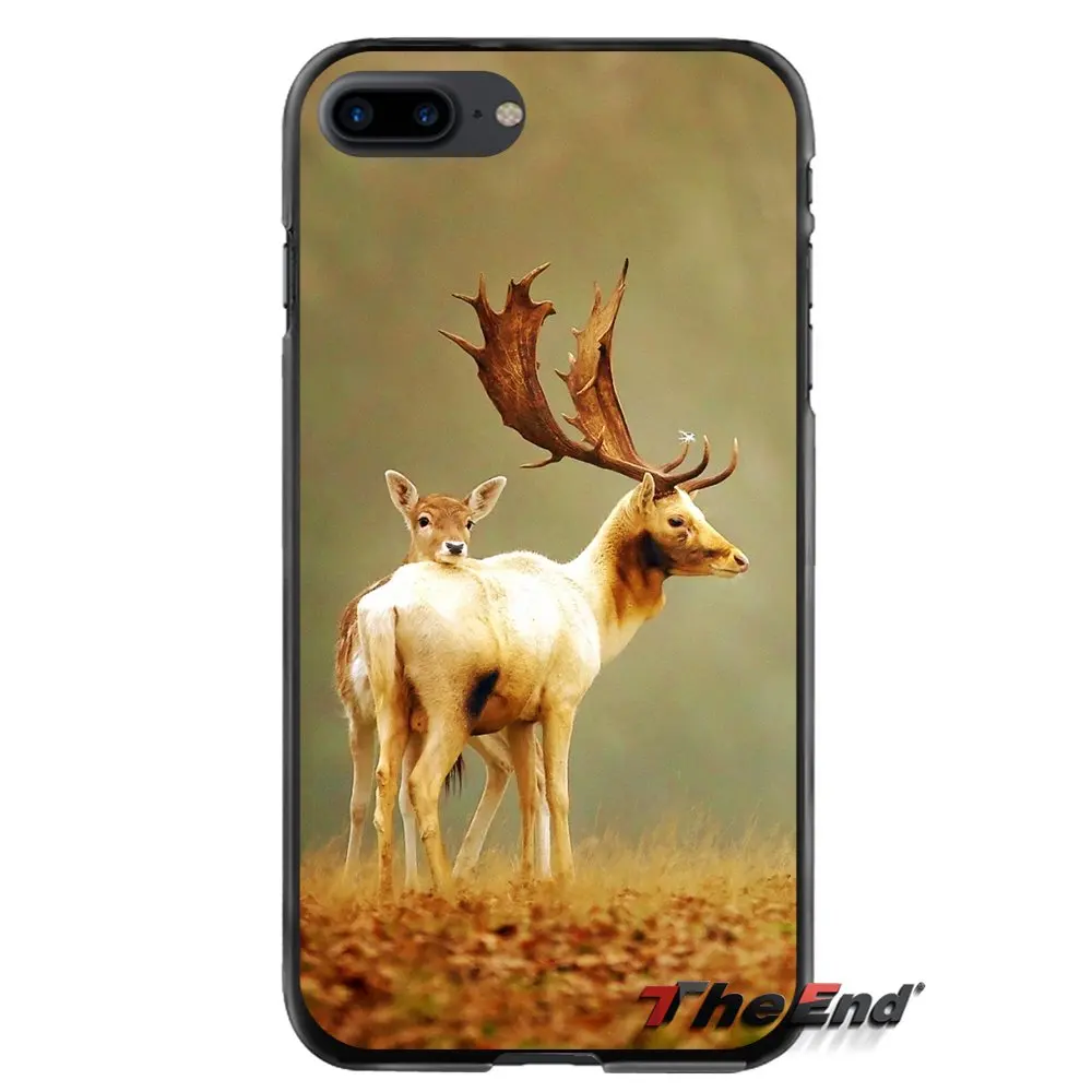 Для Apple iPhone 4 4S 5 5S 5C SE 6 6S 7 8 Plus X iPod Touch аксессуары чехол для телефона олень