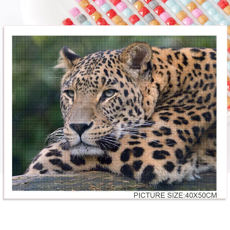 

Southeast Asian Style Diy Diamond Painting Acrylic Material Fierce Leopard Pattern of Different Varieties In Multiple Scenes
