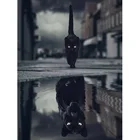 Черная кошка пантера отражение животных DIY алмазная живопись вышивка крестиком Мозаика 5D полная дрель Алмазная вышивка живописный Декор стены