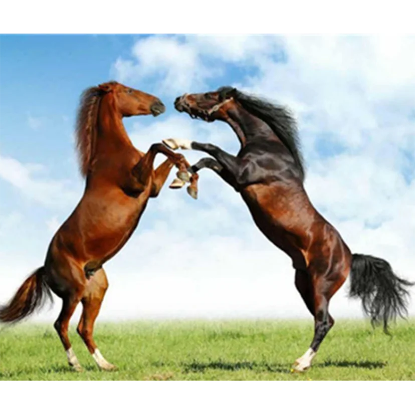 

Diamond Painting 5D DIY Square/Round Diamond Animal Painting Double Horse Beauty Picture Cross Stitch Decoration Artwork TX1080