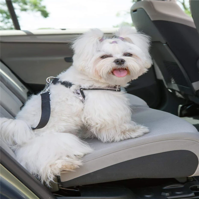 4 шт. кожаная сумка MIUSIE кошелек ремень на ремне застежка кнопка запуска брелок для