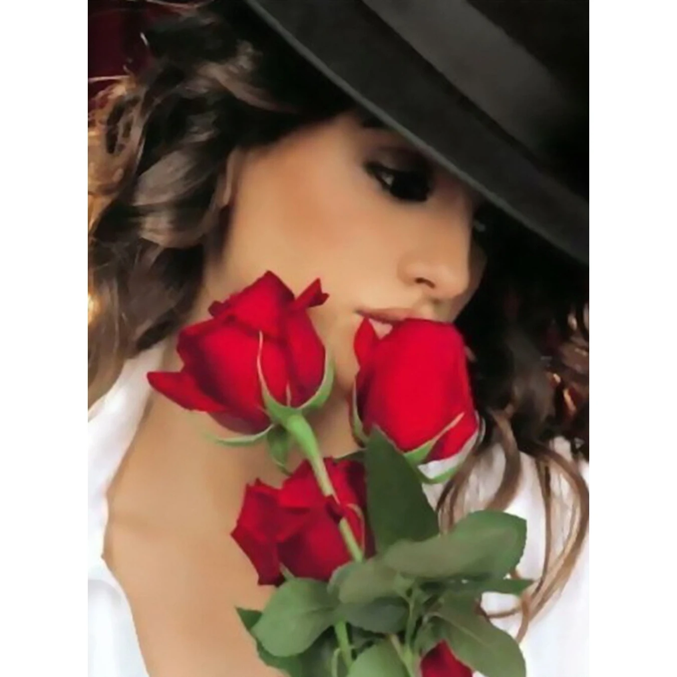 Роза леди алмазная вышивка полный 5D сделай сам живопись мозаика цветок рукоделие