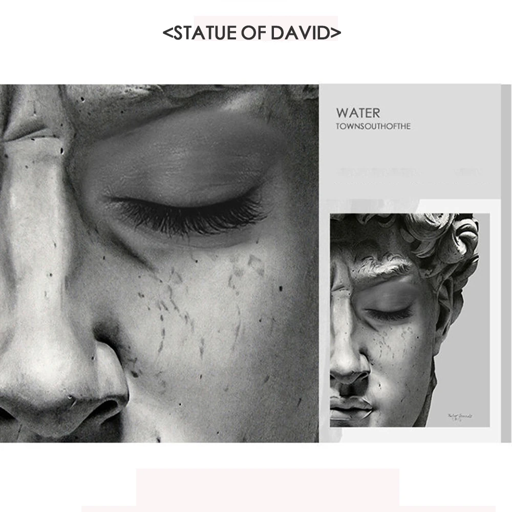 

Modern Minimalist Nordic Art Canvas David Head Statue Style Picture Living Room Decoration Poster For Home Decor Wall Painting