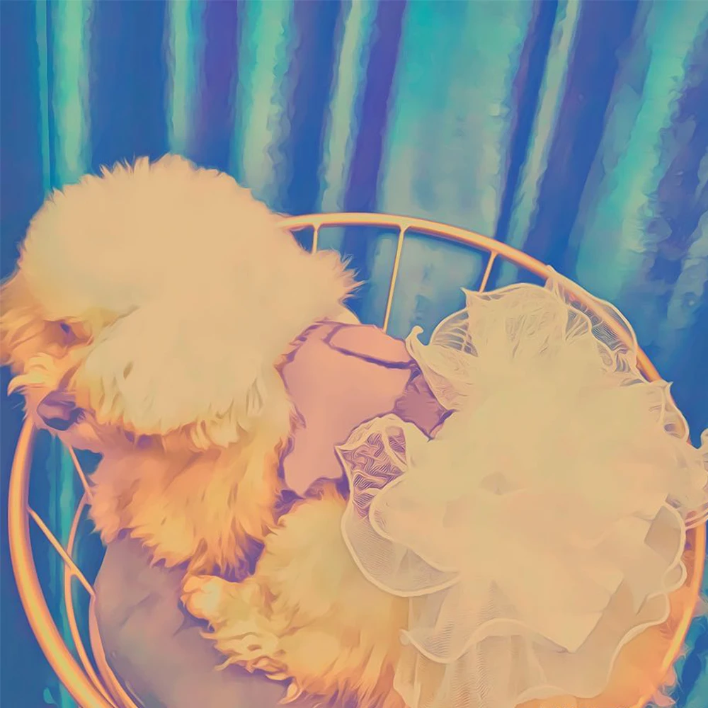 Панель в форме французского бульдога: модные платья для костюм мопса PC1436 XS