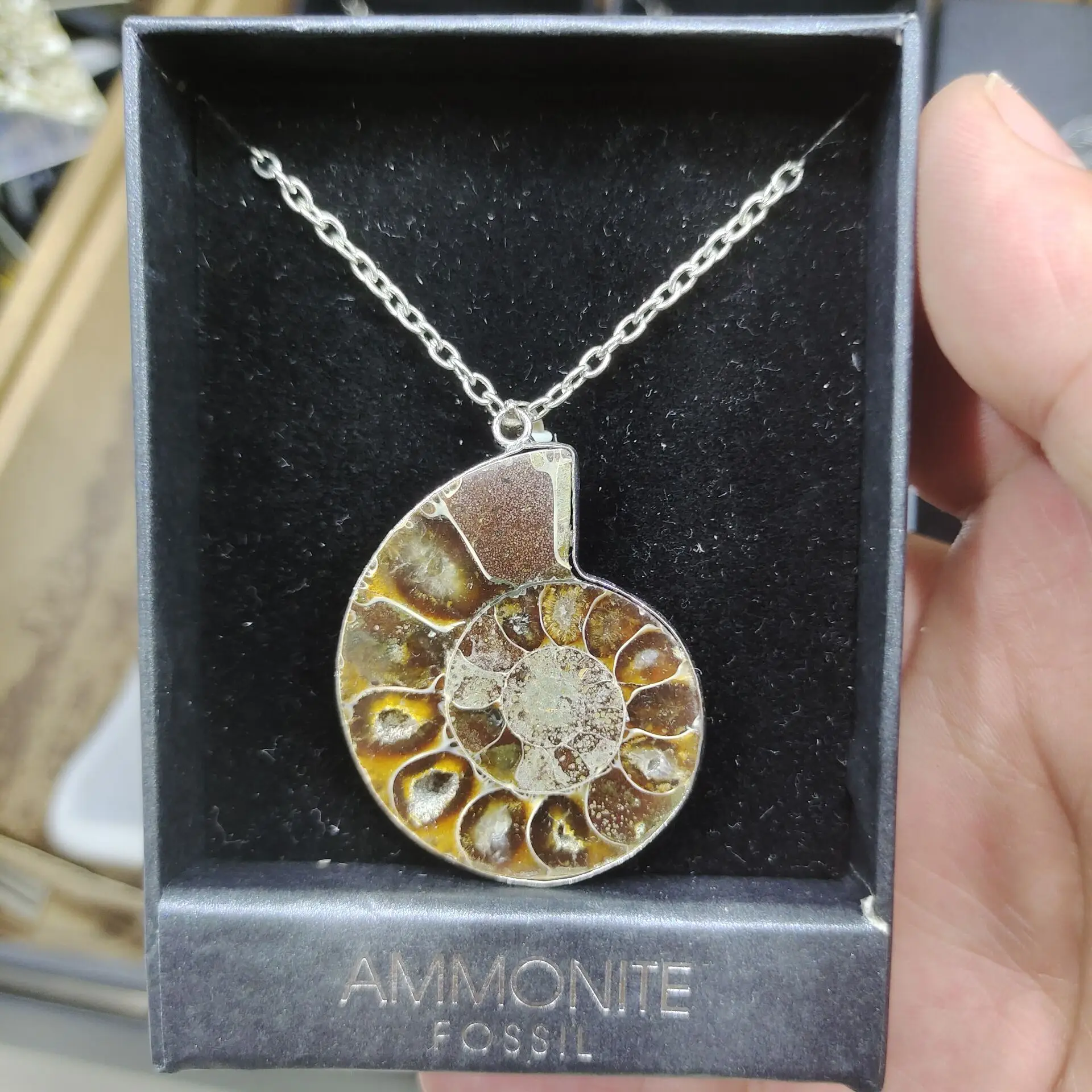 

Natural Paleontological Fossil Ammonoid Mineral Geological Teaching Specimen Raw Rough Gemstone Decoration Collection Gift