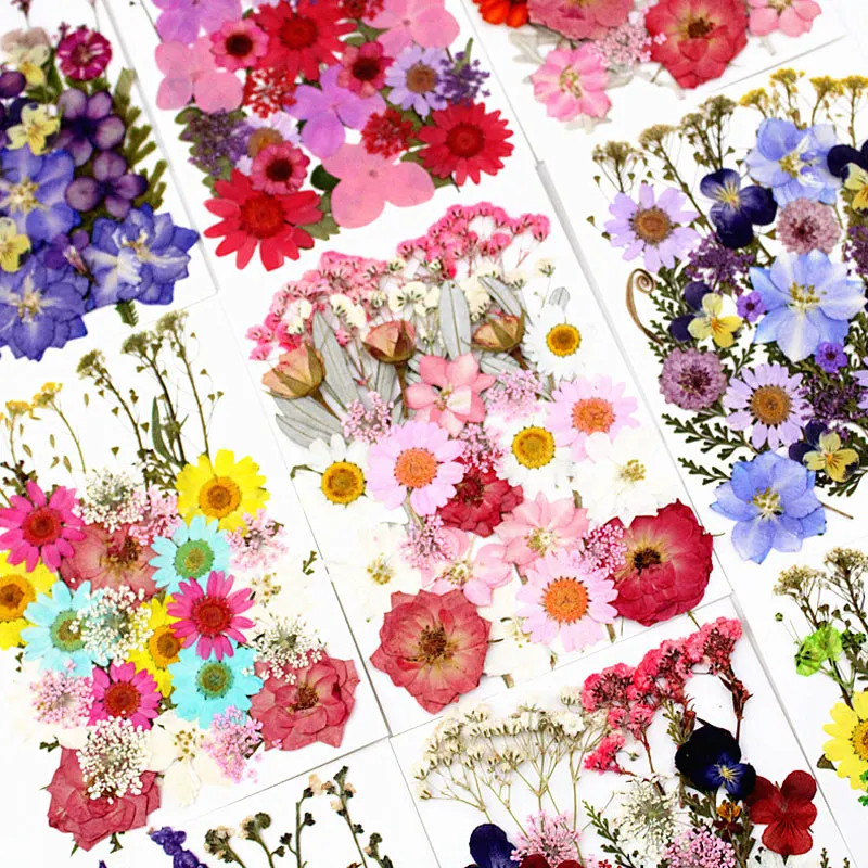 Натуральные сушеные цветы коллекция композиций для Украшения Стеклянных