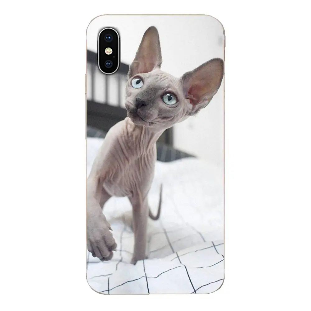 Большая дружественная кошка Sphynx для Huawei Honor Mate 7 7A 8 9 10 20 V8 V9 V10 V30 P40 G Lite Play Mini Pro P Smart