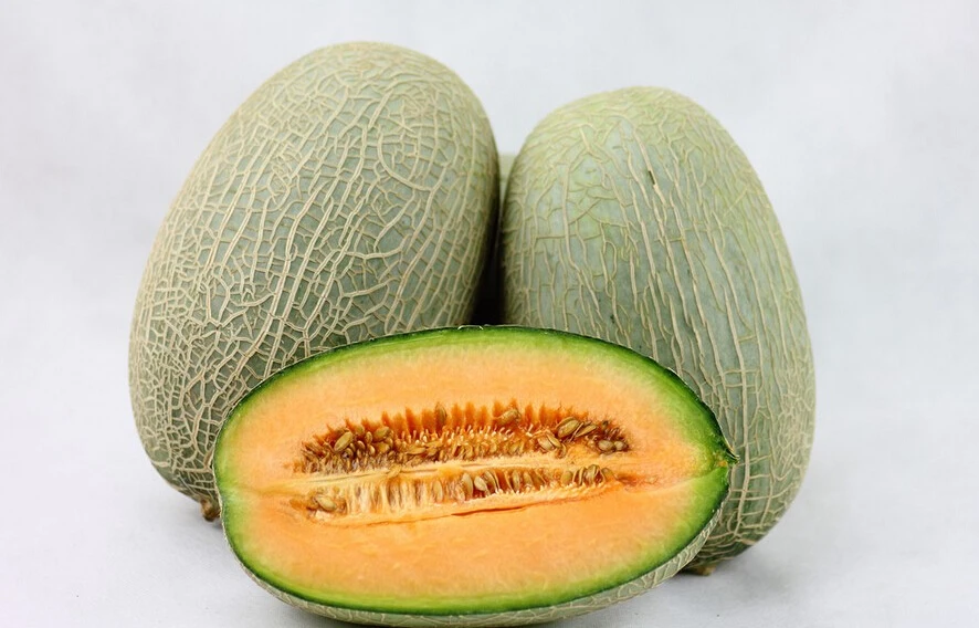 Большая промакция! Сладкий Дыня Сад бонсай фрукты гигантская Фамильные