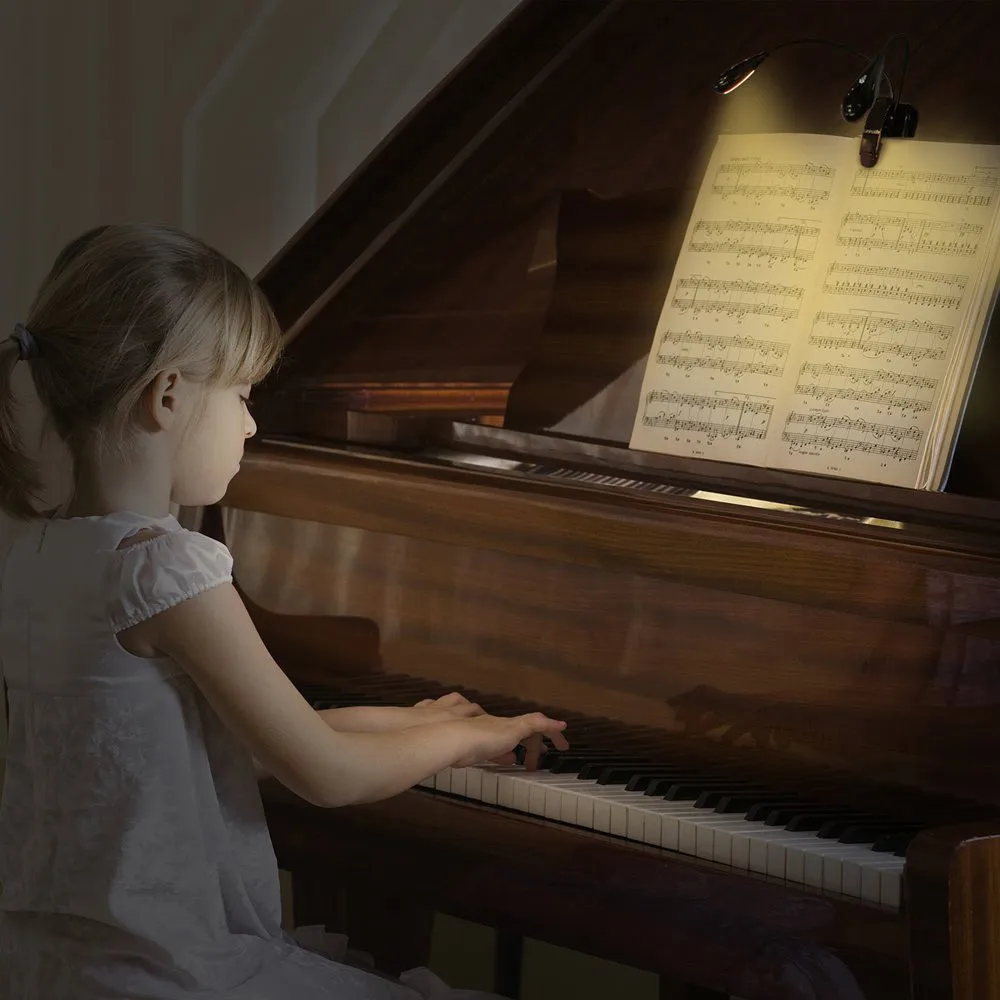 

Light weight easy to carry Super bright Flexible USB Clip-On 2x COB LED Light Reading Study Desk Table Lamp Rechargeable