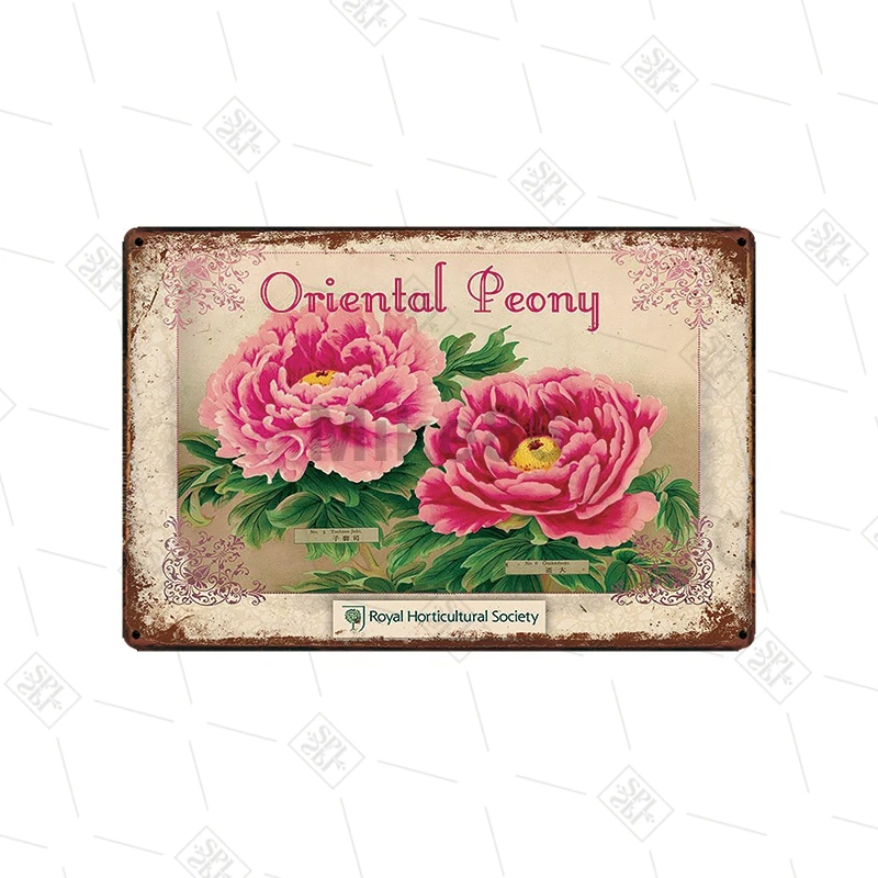 Garden Kitchen FLowers Birds Tool Tin Sign Farm Flower Shop House Home Retro Wall Hanging Pasted Metal Painting Art Decoration | Дом и сад