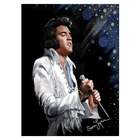Алмазная живопись 5D сделай сам, полноразмерная вышивка крестиком Elvis Presley, мозаика для домашнего декора, Y491