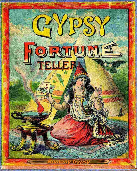 

gypsy fortune teller VINTAGE ENAMEL METAL TIN SIGN WALL PLAQUE 20X30CM Tin Sign