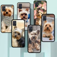 cute pet yorkshire terrier dog phone case for samsung a50 a51 a71 a12 a72 a52 a32 a02 a20e a31 a40 a70 a80 fundas coque