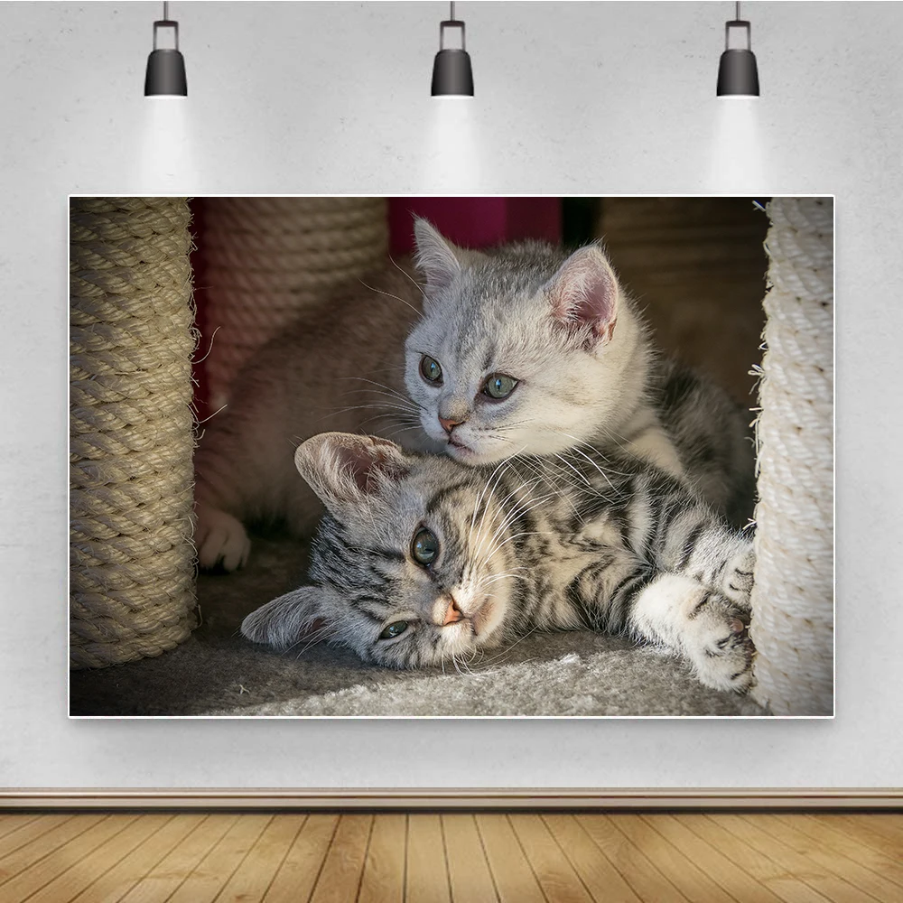 

Photography Backdrops Photo 3D Animals Design Lovely Cat Printed Festival Birthday Photo Studio Background Decor