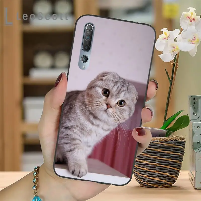 

cute cat Phone Case For Xiaomi Redmi 4x 5 plus 6A 7 7A 8 mi8 8lite 9 note 4 5 7 8 pro