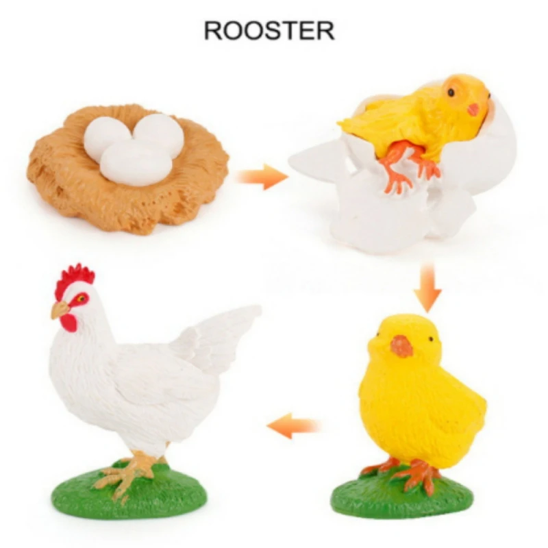 Имитация животного черепаха Цыпленок комар лягушка цикл роста схема процессов