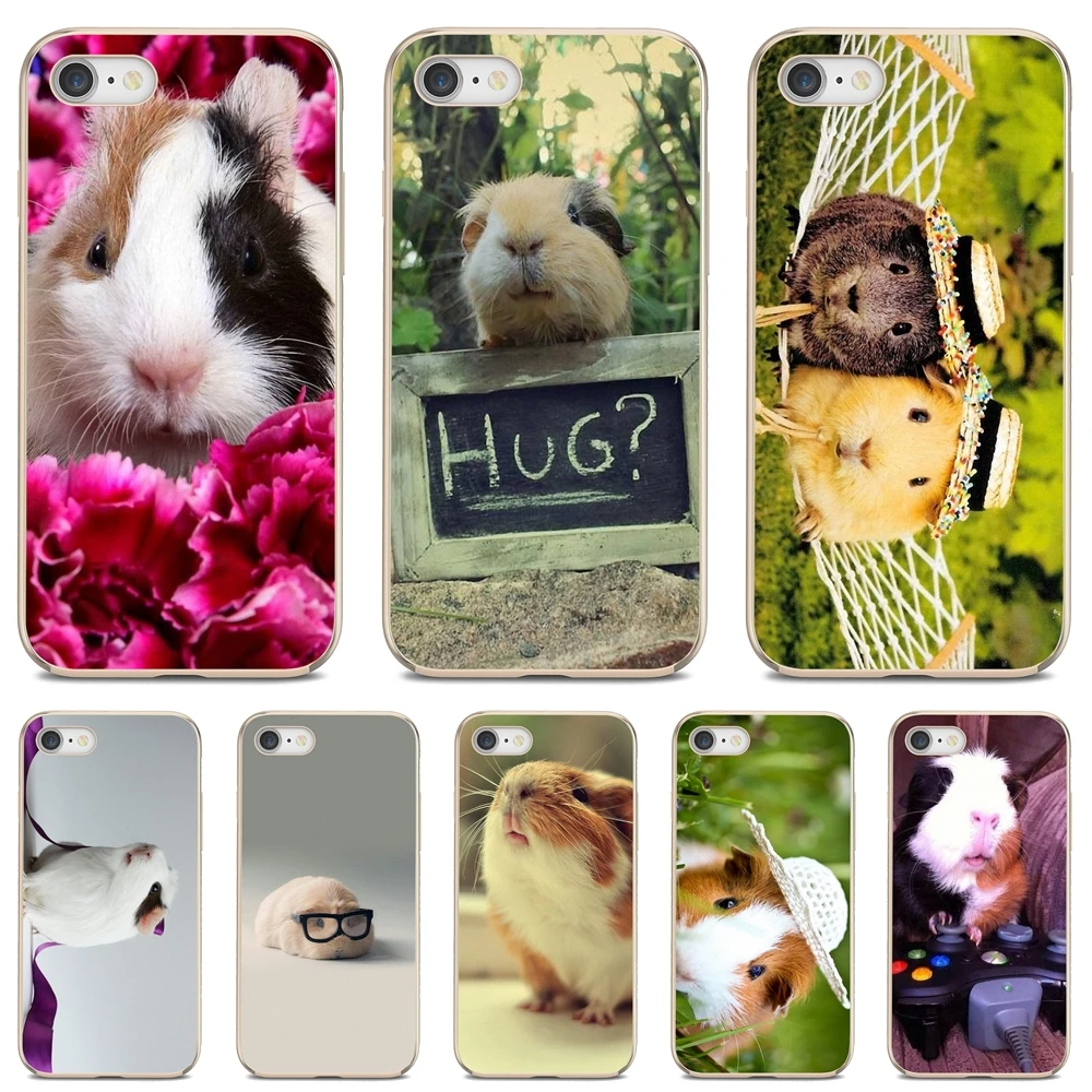 

For iPod iPhone 10 11 12 Pro Mini 4S 5S SE 5C 6 6S 7 8 X XR XS Plus Max 2020 White guinea pig Animal Print Cell Phone Case Cover