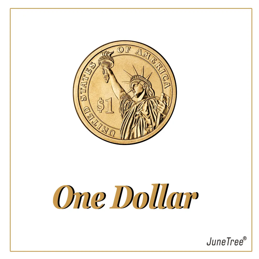 Плата за 1 доллар |