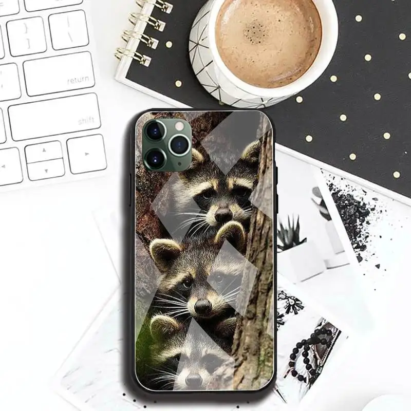 animal raccoon phone case tempered glass for iphone 12 pro max mini 11 pro xr xs max 8 x 7 6s 6 plus se 2020 cover free global shipping