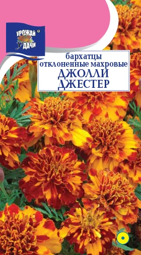 Бархатцы Джолли Джестер отклоненные 0 1гр/10 (цена за один пакет) | Дом и сад