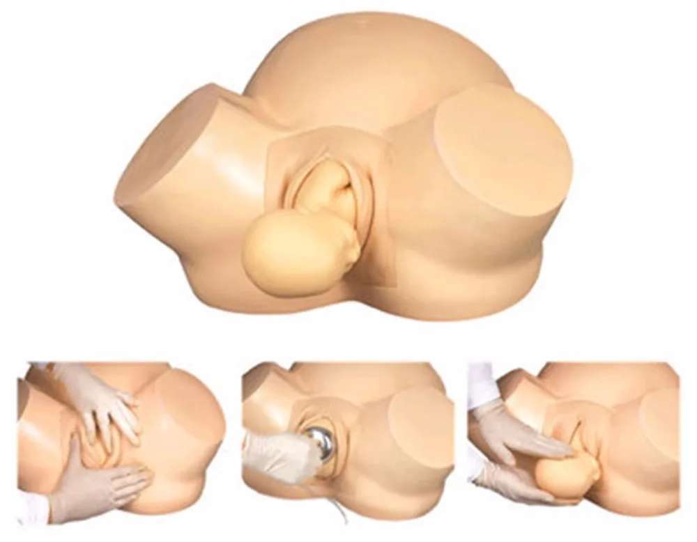 

Midwifery training advanced empty simulator delivery Accouchement simulator model Teaching mold midwife training