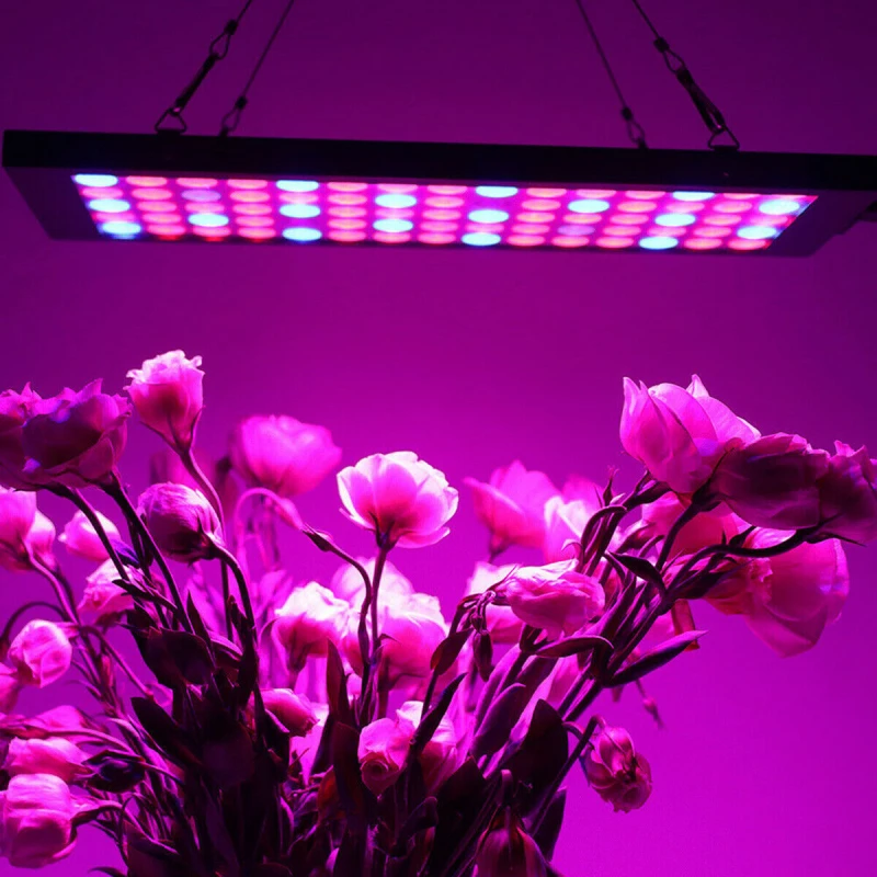 600w Full Spectrum Led Grow Light Tube EU US AU UK Plug LED Lamps Hydroponic Lamp Bar Plant Growth Tent | Лампы и освещение