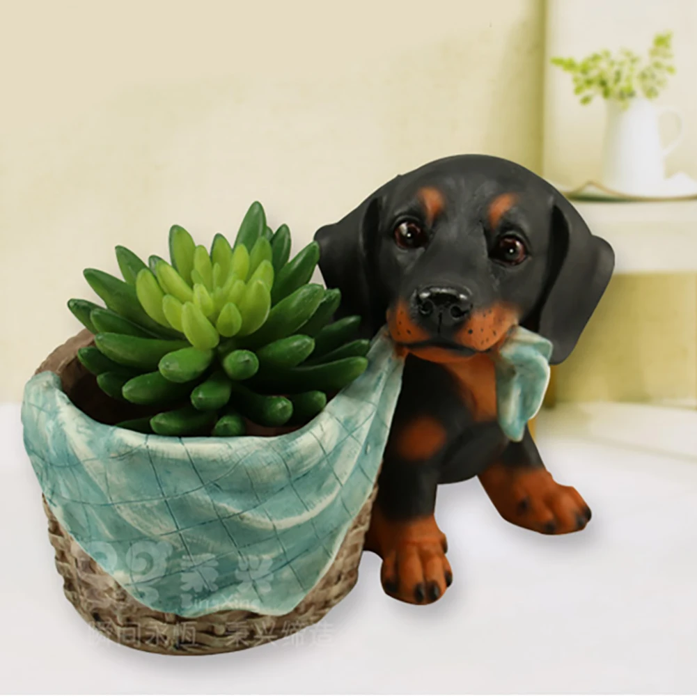 Тюльпаны суккулент растение Садоводство настольная милая собака форма офис