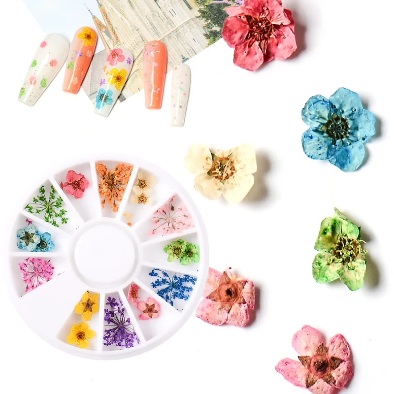 12 Colors Dried Flower for Nail Art Decorations Natural Real Flowers Dry Stick UV Gel Acrylic Tips Wheel | Красота и здоровье
