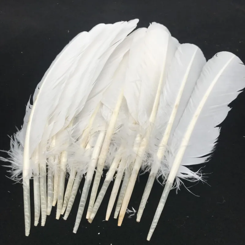 Бесплатная доставка 50 шт./фотосессия красивые белые перья индейки