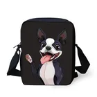 Сумка-мессенджер Boston Terrier через плечо с принтом, детские сумки принцессы для девочек, сумки на плечо, изготовленные на заказ