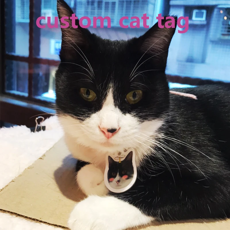 

Personalized Pattern Small Pet Dog ID Tag Custom acrylic keychain any shape printed Tags For Large Dogs