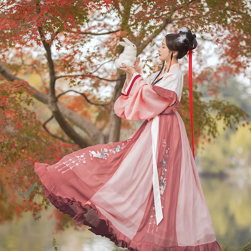 

Традиционный китайский стиль, Женский костюм Hanfu, одежда для народного танца, Восточная Ханьская династия, косплей, сказочное сценическое т...