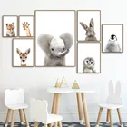Милый Слон Олень лиса кролик Сова Детская настенная живопись холст скандинавские плакаты и принты настенные картины декор для детской комнаты
