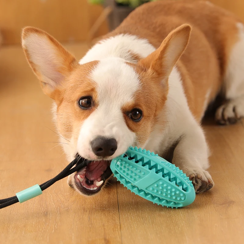 

Dog Toys Silicon Suction Cup Tug Interactive Dog Ball Toy For Pet Chew