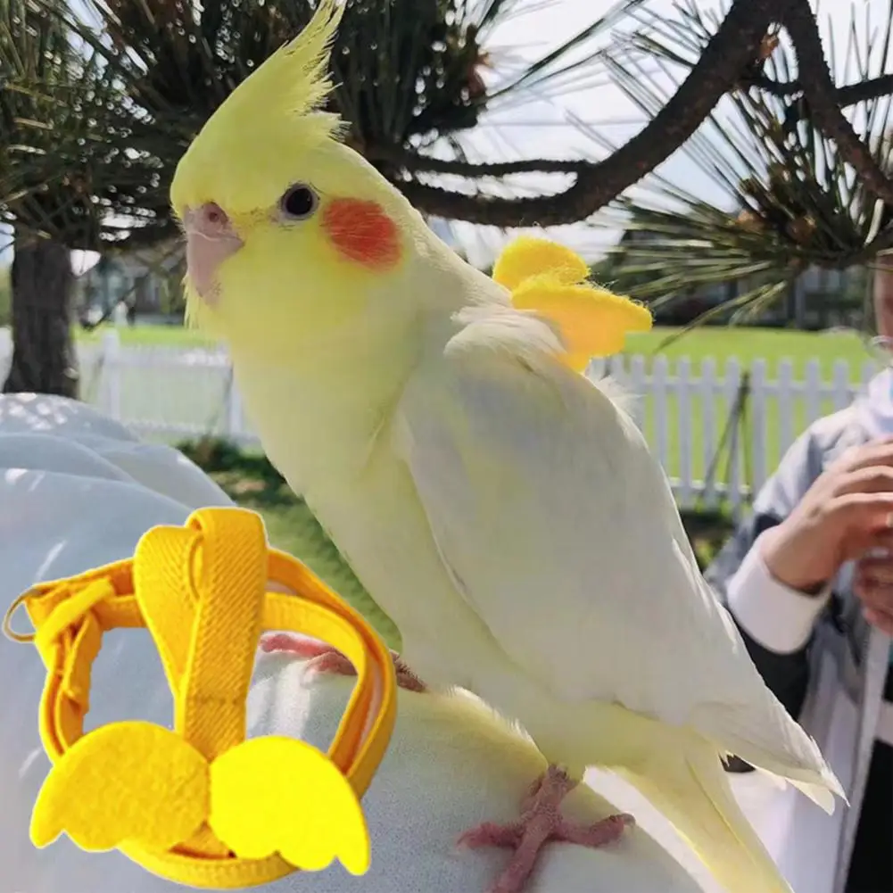 Длинный кабель для птиц-поводок Bird Harness Leash Anti-Bite Training Rope Decorative Lightweight Parakeet Parrot Vest for on.