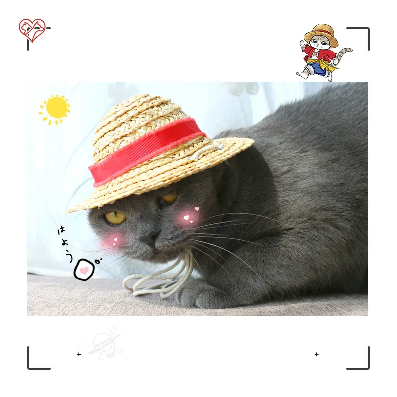 One Piece Cosplay Luffy Strohoed Dierbenodigdheden Kat Hoed Puppy Hond Hoofdtooi Pet Hoofddeksels Stardust Kruisvaarders Hoed One Piece Cosplay Luffy Strohoed Dierbenodigdheden Kat Hoed Puppy Hond Hoofdtooi Pet Hoofddeksels Stardust Kruisvaarders Hoed