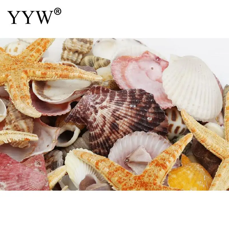 150 шт./пакет смешанные морские раковины Schelpen Coquillage Conchas Shell для украшения дома декоративный Вавилон морской домашний Морской Декор