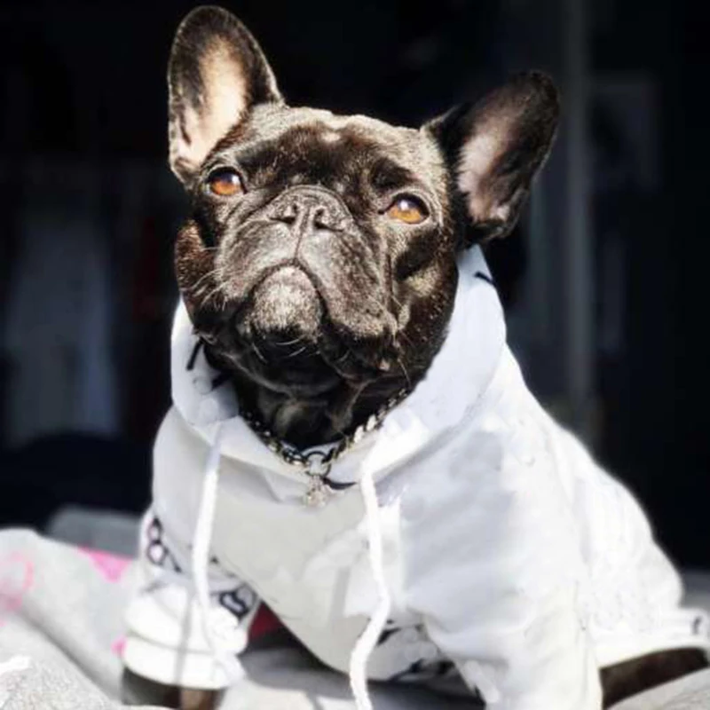 

Fashion Letter Dog Clothes for Small Dogs Clothing Cute French Bulldog Hoodies Chihuahua Coat Jacket Ropa Para Perro Costume A32