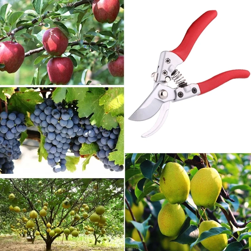 

Pruning Shears Garden Tree Trimmer Gardening Tool Farms,Fruit Trees,Flowers and Other Home Garden Scissors N11 20 Dropship