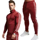 Спортивный костюм мужской из 2 предметов, толстовка на молнии и штаны, однотонная спортивная верхняя одежда с капюшоном для фитнеса, костюм для бега, осень