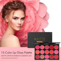 15 color lip gloss suit makeup matte velvet moisturizing lipstick lip gloss tray waterproof and non fading lip gloss palette