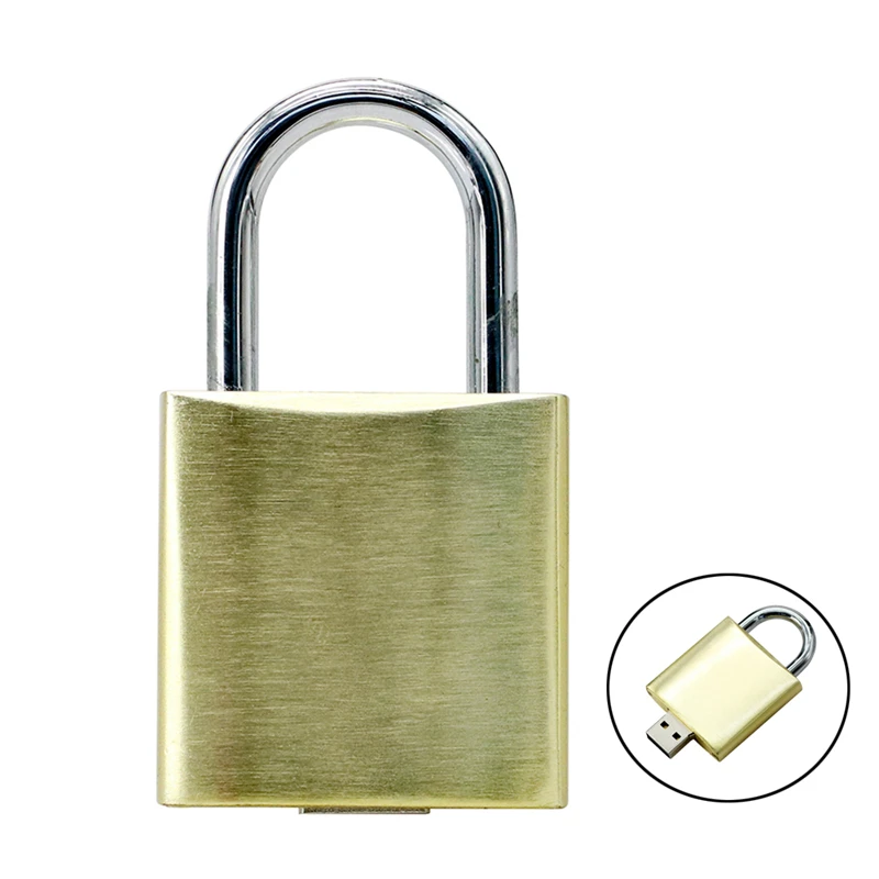 USB флеш накопитель в форме замка 4/8/32/16/256/64/128 ГБ|USB флэш-накопители| |