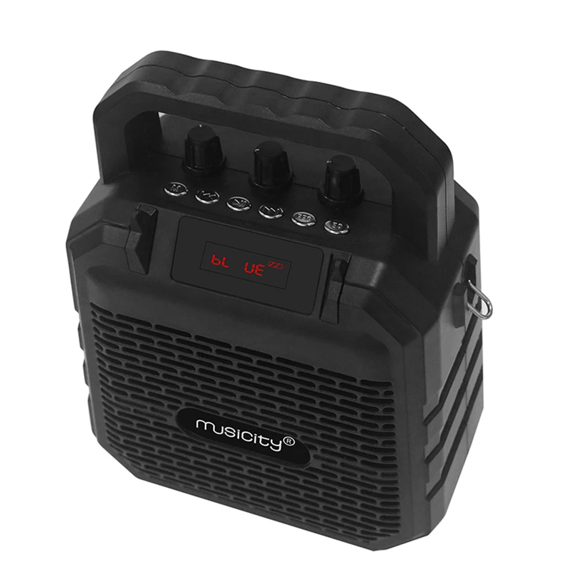 Musicity Ibastek Bluetooth Usb караоке Динамик коробка Колонка с беспроводным каналом блютус