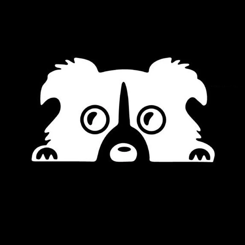 Volkrays индивидуальная Автомобильная наклейка Border Collie Dog аксессуары