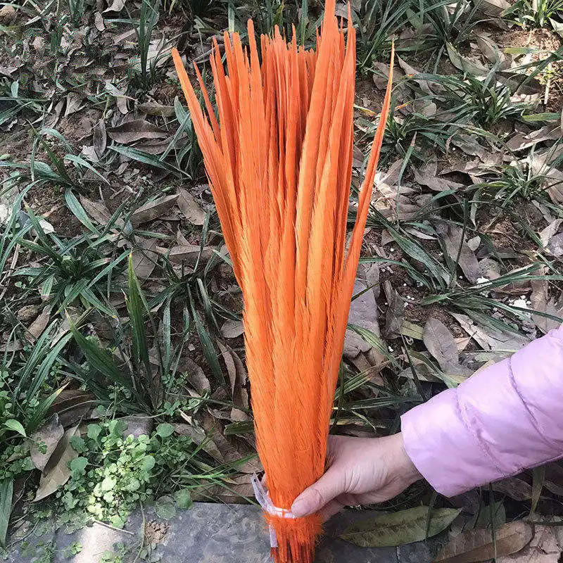 Orange 100 шт натуральные перья из хвоста фазана 16-18 дюймов 40-45 см Высокое качество DIY Ювелирные изделия Свадебные украшения перо фазана - Цвет: Orange