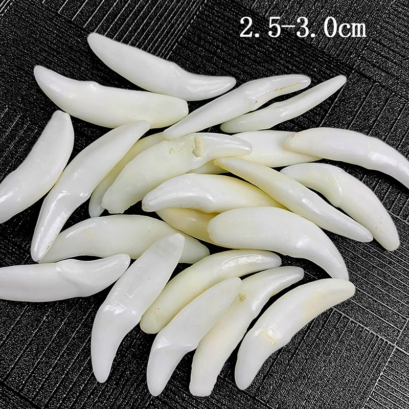 Подвеска-Клык в виде тибетского животного подвеска амулет | Украшения и