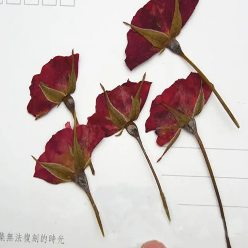 6 шт. искусственные сухие растения для ароматерапии свеча подвеска из эпоксидной