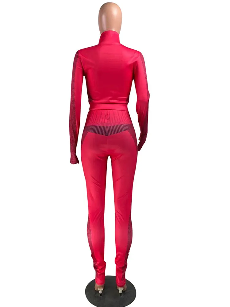 

Joskaa 2020 Women Casual Tracksuits Full Sleeve Stand Collar Zipper Up Slim Crop Top High Waist Workout Sweatpants 2 Piece Sets