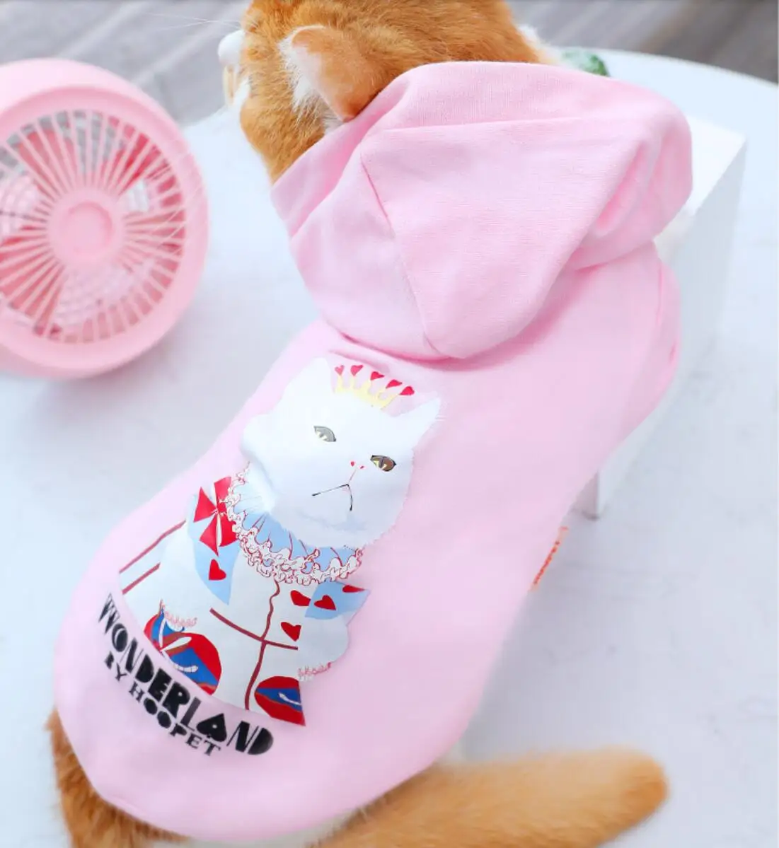 

Cat Clothes Pet Cat Coats Jacket Hoodies For Cats Outfit Warm Pet Clothing Pet Costume for Dogs