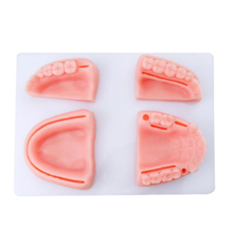 

Oral/Gum Suture Training Module Silicone Periodontitis Suture Model,for Students Oral Suture Training